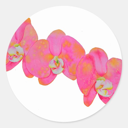 Elegante roze waterverf orchideeën tropische bloem ronde sticker (Voorkant)