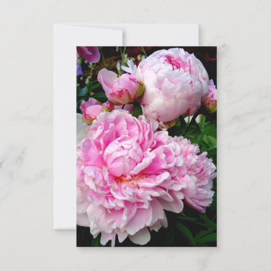 Elegante roze witte bloemenpioen bruiloft kaart (Achterkant)