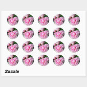 Elegante roze witte pioen bloementuin foto ronde sticker (Vel)