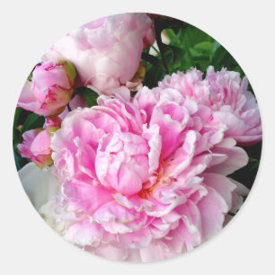 Elegante roze witte pioen bloementuin foto ronde sticker