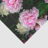 Elegante roze witte pioen bloementuin foto tissuepapier (Detail)