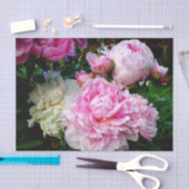 Elegante roze witte pioen bloementuin foto tissuepapier (Craft)