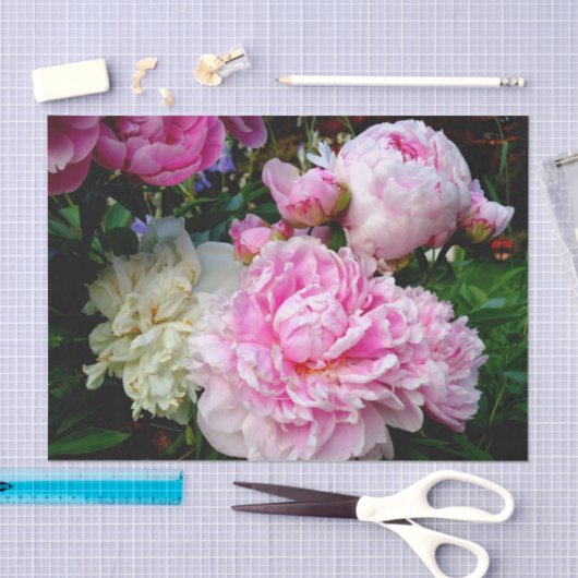 Elegante roze witte pioen bloementuin foto tissuepapier (Craft)