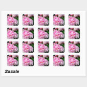 Elegante roze witte pioen bloementuin foto vierkante sticker (Vel)