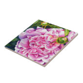 Elegante roze witte waterverf classic floral tegeltje (Zijkant)