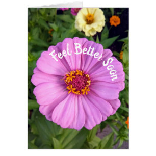 Elegante roze Zinnia Flower Voel je beter Kaart