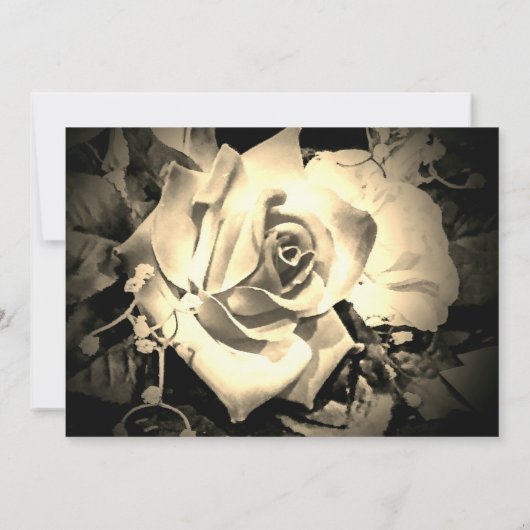 Elegante Rozen Bewaar de datum Save The Date (Achterkant)