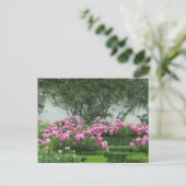 Elegante Rozen Briefkaart (Staand voorkant)