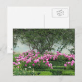 Elegante Rozen Briefkaart (Voorkant / Achterkant)