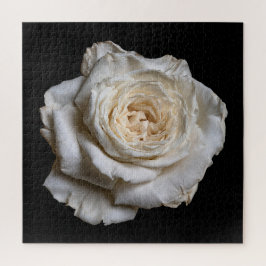 Elegante Rozen Collectie op Zwarte Achtergrond Legpuzzel