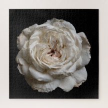 Elegante Rozencollectie op Zwarte Achtergrond