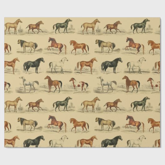 Elegante rustieke beige paardenrassen Toile Cadeaupapier (Vlak)