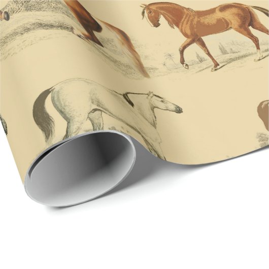 Elegante  rustieke beige paardenrassen Toile Cadeaupapier (Rol Hoek)