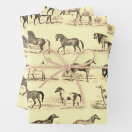 Elegante rustieke beige paardenrassen Toile Inpakpapier Vel