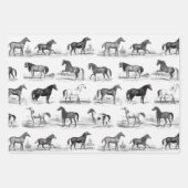 Elegante  rustieke beige paardenrassen Toile Inpakpapier Vel (Voorkant 3)