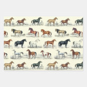 Elegante  rustieke beige paardenrassen Toile Inpakpapier Vel (Voorkant 2)