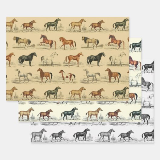 Elegante  rustieke beige paardenrassen Toile Inpakpapier Vel (Set)