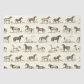 Elegante  rustieke beige paardenrassen Toile Tissuepapier (Voorkant)