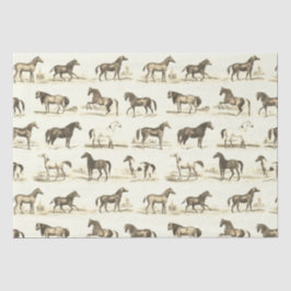 Elegante  rustieke beige paardenrassen Toile Tissuepapier