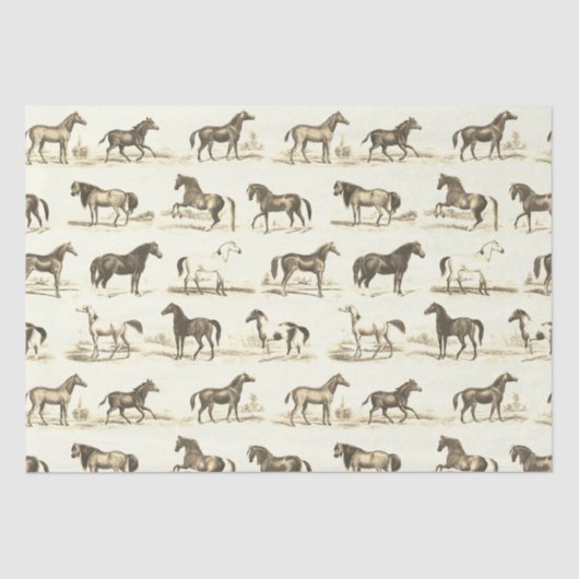Elegante  rustieke beige paardenrassen Toile Tissuepapier (Voorkant)