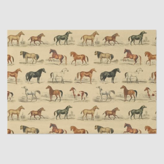 Elegante  rustieke beige paardenrassen Toile Tissuepapier (Voorkant)