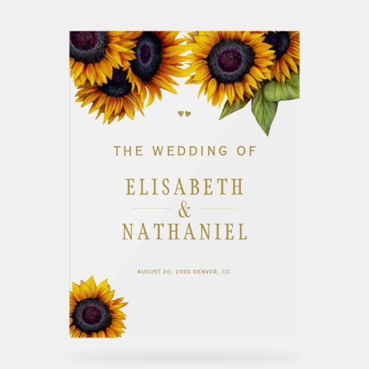 Elegante rustieke chique bruiloft bevroren welkoms acryl bord (Voorkant)