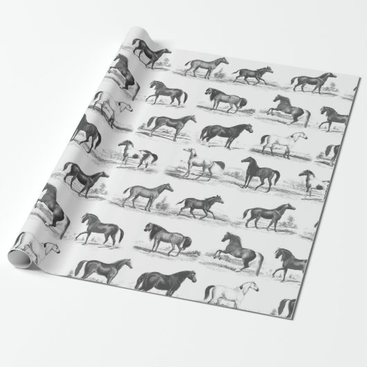 Elegante  rustieke paardenrassen Toile Cadeaupapier (Uitgerold)