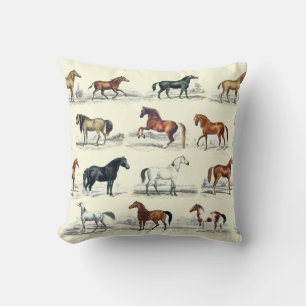 Elegante  rustieke paardenrassen Toile Kussen