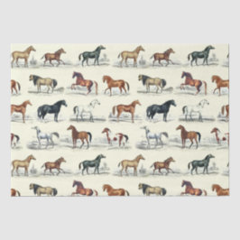 Elegante  rustieke paardenrassen Toile Tissuepapier