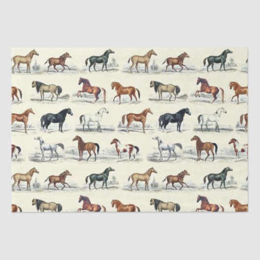Elegante  rustieke paardenrassen Toile Tissuepapier (Voorkant)