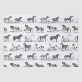 Elegante  rustieke paardenrassen Toile Tissuepapier