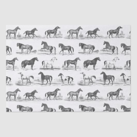 Elegante  rustieke paardenrassen Toile Tissuepapier (Voorkant)