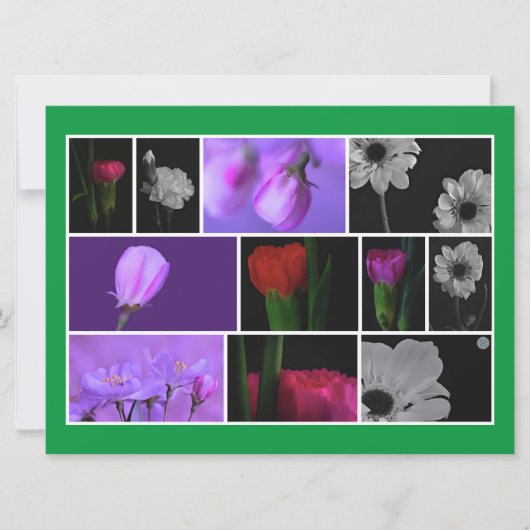 Elegante, Schattigee Bloemen Fotocollage op Kelly  (Voorkant)