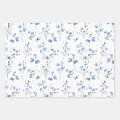 Elegante Schattigee Wildbloemen en Vlinders Inpakpapier Vel (Voorkant)