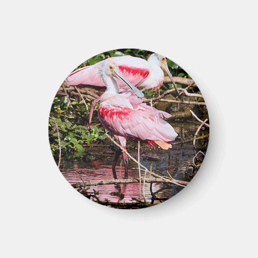 Elegante Sentinel: Spoonbill Magnet (Voorkant)