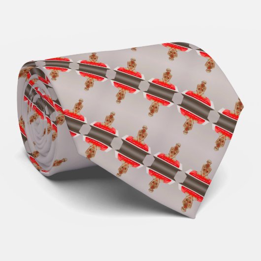 Elegante Shaolin Satijn Streep Stropdas (Opgerold)