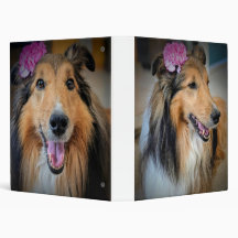 Elegante Sheltie