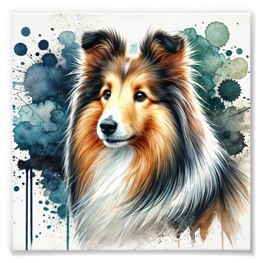 Elegante Shetland Sheepdog Waterverf Art Foto Afdruk (Voorkant)