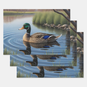 Elegante sierlijke Mallard op rustige landvijver Inpakpapier Vel