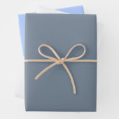 Elegante SOD Gift Wrapping Sheets Inpakpapier Vel (In situ)