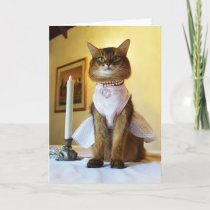 Elegante Somalische Kat Uitnodiging, Feestje, of G Kaart