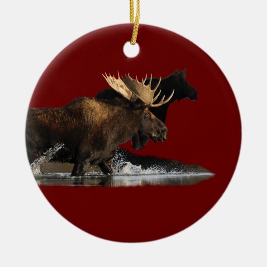 elegante splash keramisch ornament (Voorkant)