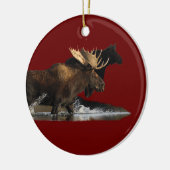 elegante splash keramisch ornament (Links)
