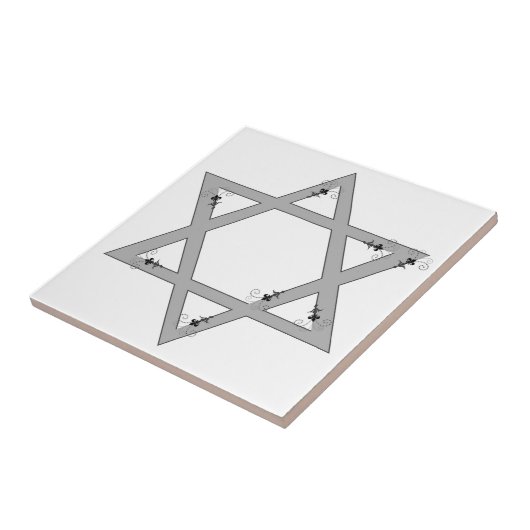 elegante ster van david tegeltje (Zijkant)