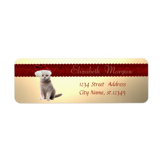 Elegante, stijlvolle kat met kerstmuts etiket (Voorkant)