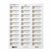 Elegante stijlvolle zilveren diamanten bloemen etiket (Full Sheet)