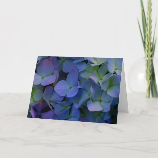 Elegante stoffige blauw paarse bloemen kaart (Voorkant)
