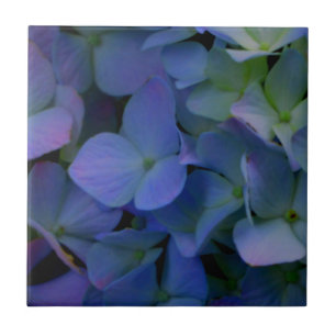 Elegante stoffige blauw paarse bloemen tegeltje