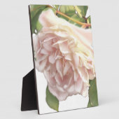 Elegante stoffige perzikkleurige oranje witte bloe fotoplaat (Zijkant)