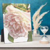 Elegante stoffige perzikkleurige oranje witte bloe fotoplaat (Zijkant)